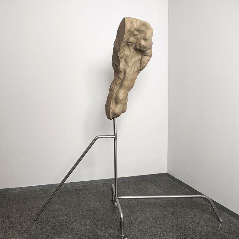 "Amassment", Maya Gallery, curator: Tsibi Geva, 2022