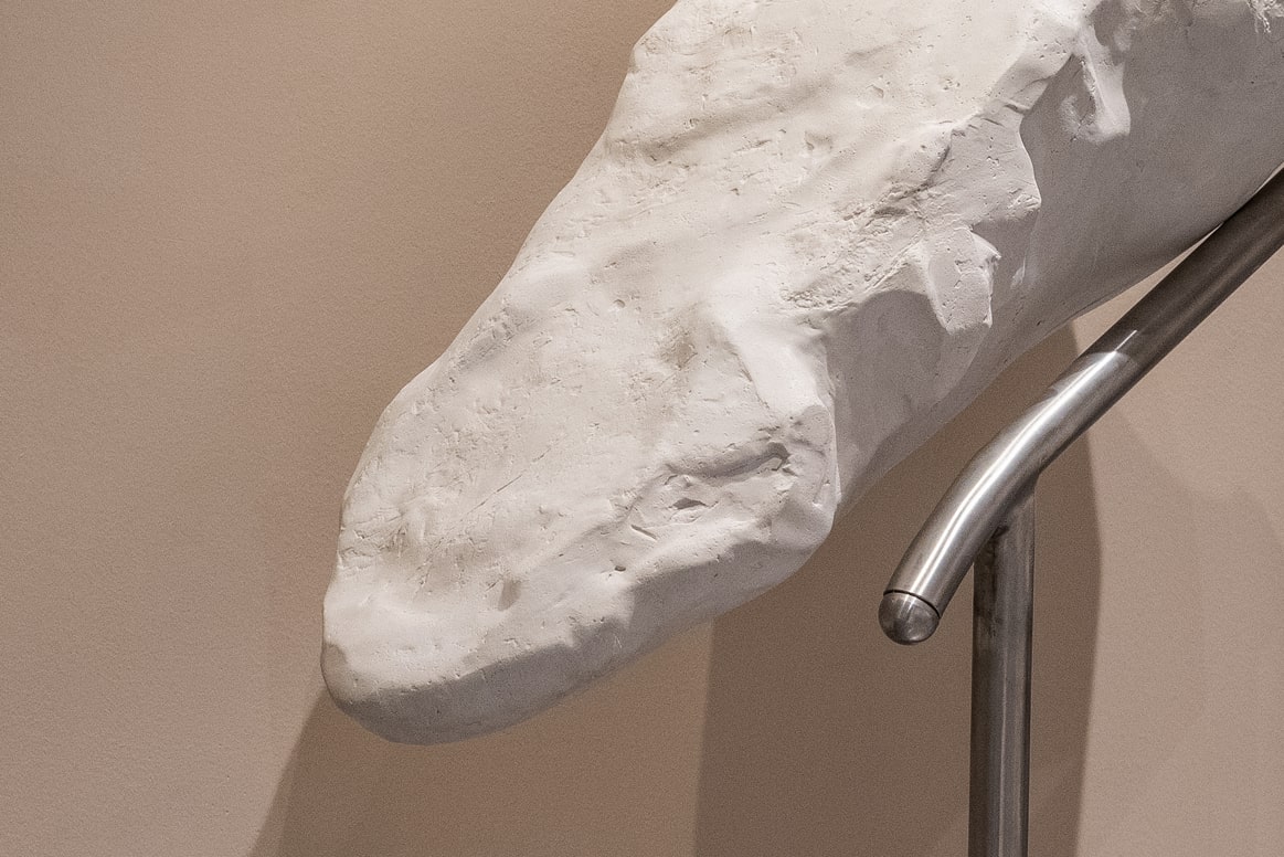 “Singing over the Bones”, curator: Danielle Tzadka-Cohen, Petach Tikva Museum of Art, 2025
