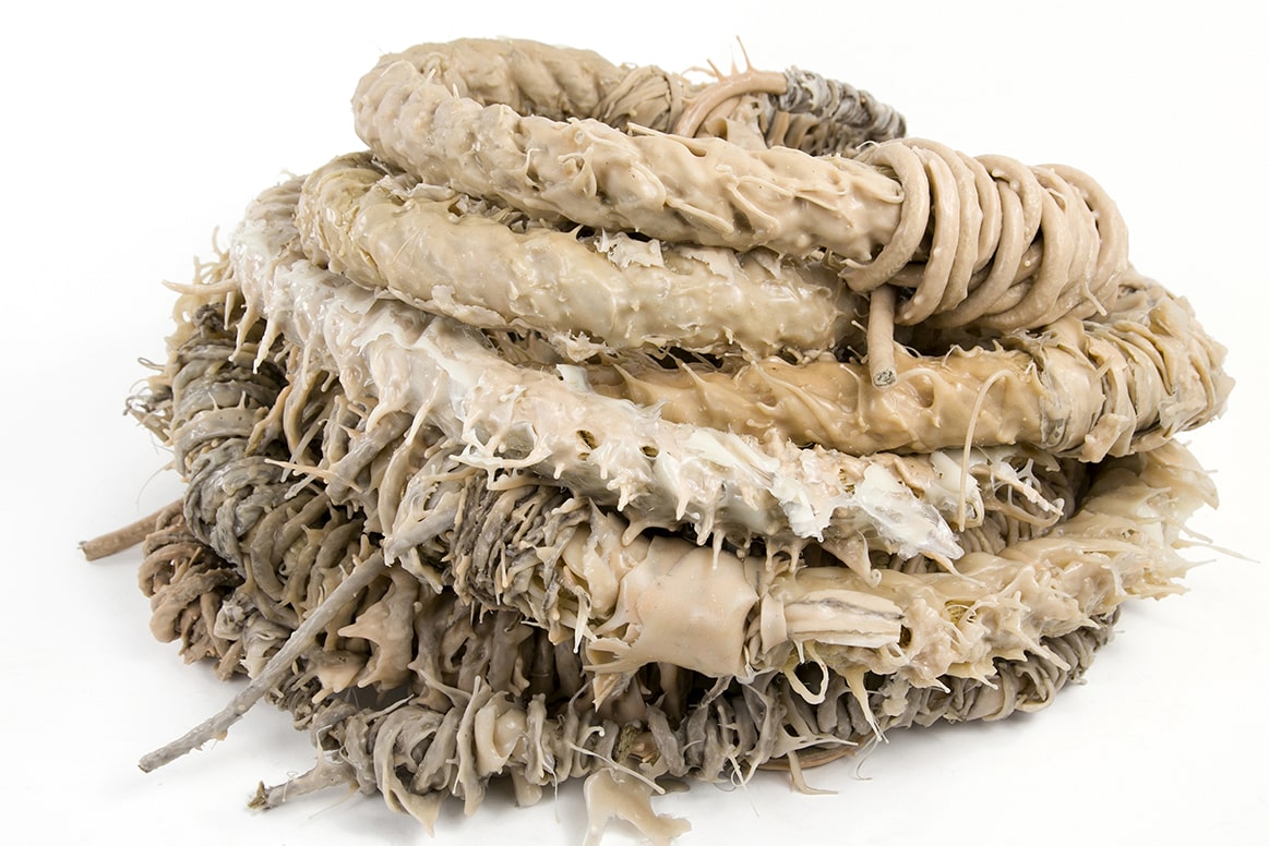 ״Knot",  Muza, Eretz Israel Muaeum,Tel Aviv Biennale of Crafts   & Design, curator: Nir Herman, 2020