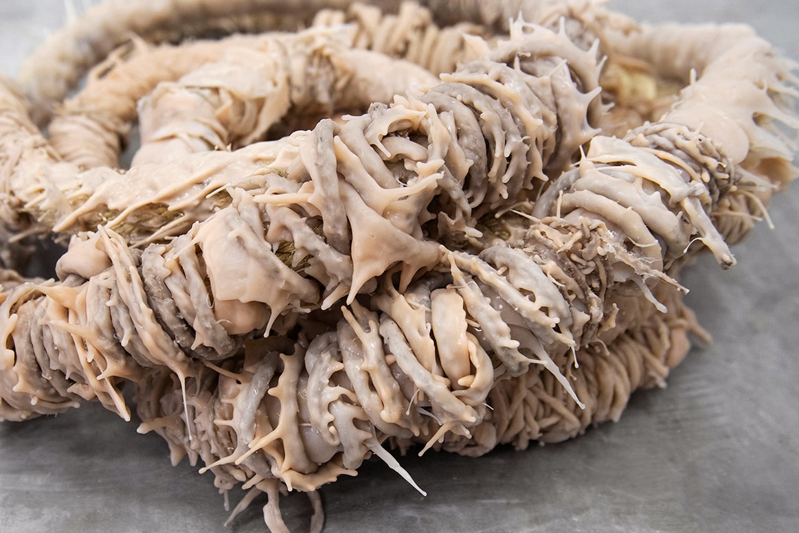 ״Knot",  Muza, Eretz Israel Muaeum,Tel Aviv Biennale of Crafts   & Design, curator: Nir Herman, 2020