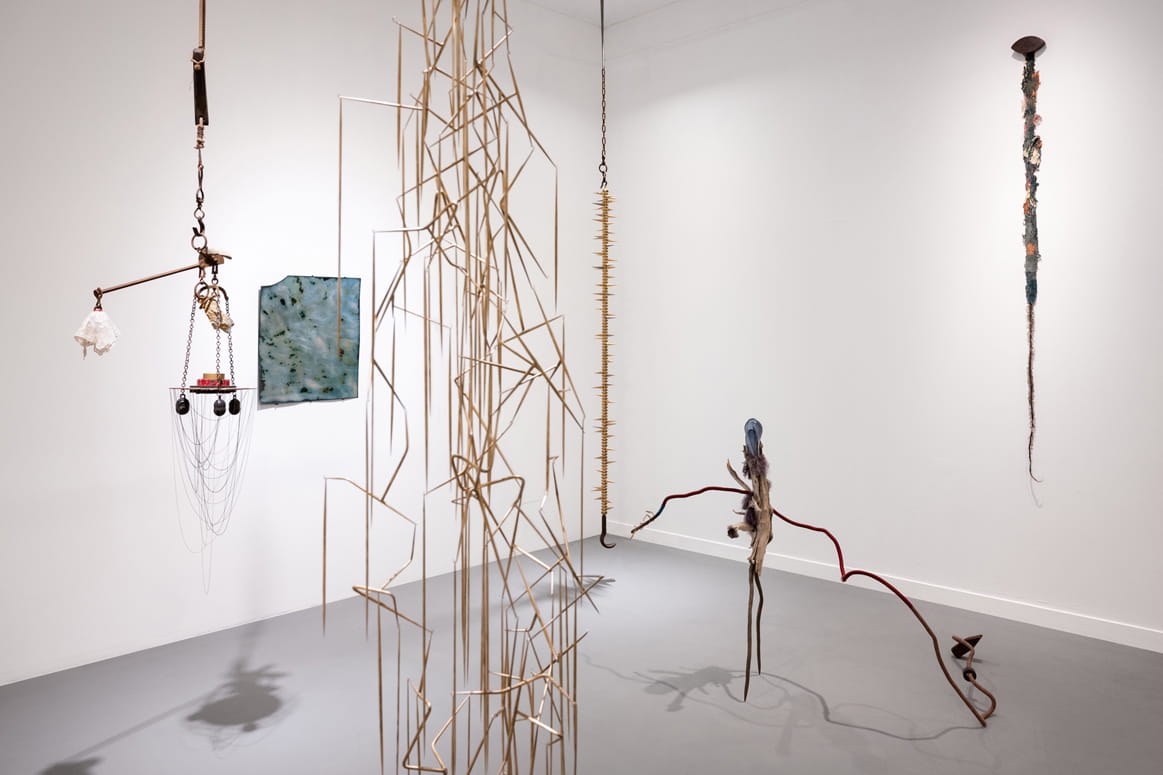Knope and Flower, Moshe Roas, Haifa Museume, curator: Dr. Kobi Ben-Meir