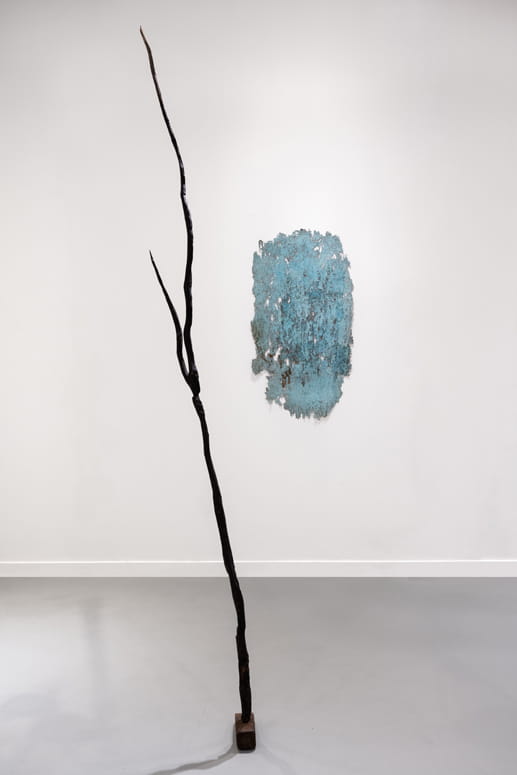 Knope and Flower, Moshe Roas, Haifa Museume, curator: Dr. Kobi Ben-Meir