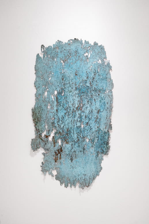 Knope and Flower, Moshe Roas, Haifa Museume, curator: Dr. Kobi Ben-Meir
