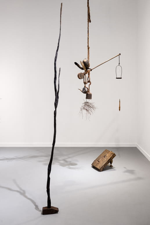 Knope and Flower, Moshe Roas, Haifa Museume, curator: Dr. Kobi Ben-Meir