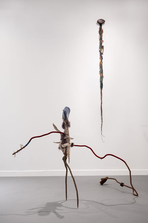 Knope and Flower, Moshe Roas, Haifa Museume, curator: Dr. Kobi Ben-Meir