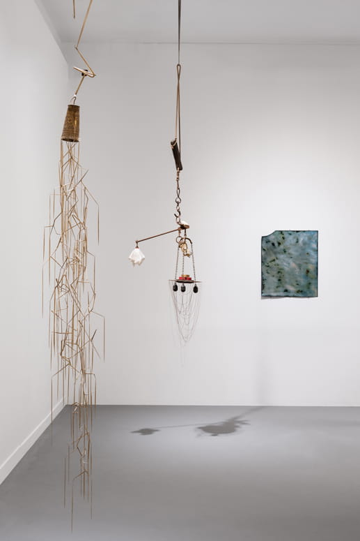 Knope and Flower, Moshe Roas, Haifa Museume, curator: Dr. Kobi Ben-Meir