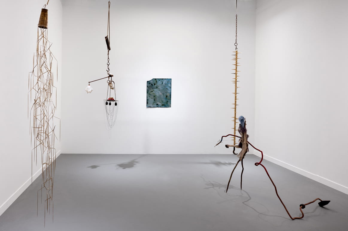 Knope and Flower, Moshe Roas, Haifa Museume, curator: Dr. Kobi Ben-Meir