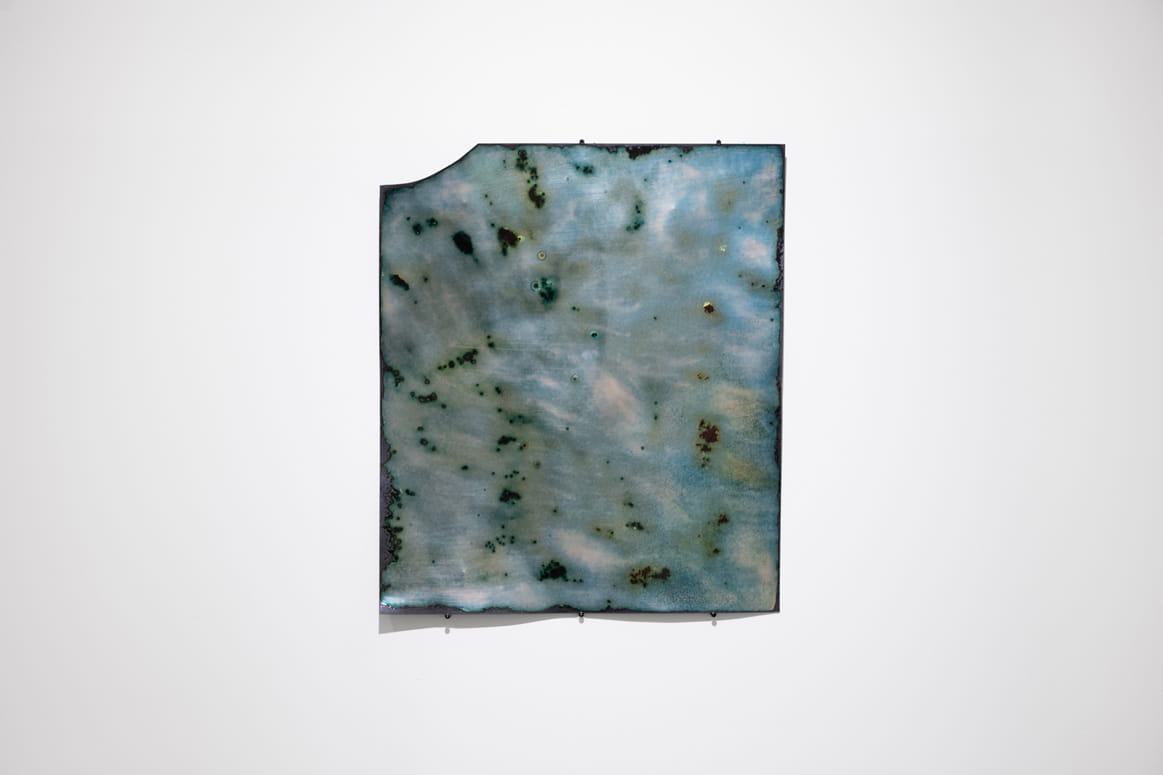 Knope and Flower, Moshe Roas, Haifa Museume, curator: Dr. Kobi Ben-Meir
