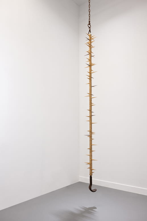 Knope and Flower, Moshe Roas, Haifa Museume, curator: Dr. Kobi Ben-Meir