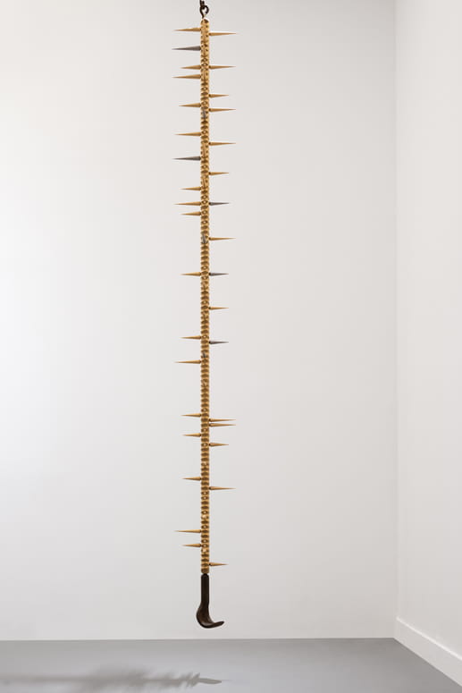Knope and Flower, Moshe Roas, Haifa Museume, curator: Dr. Kobi Ben-Meir