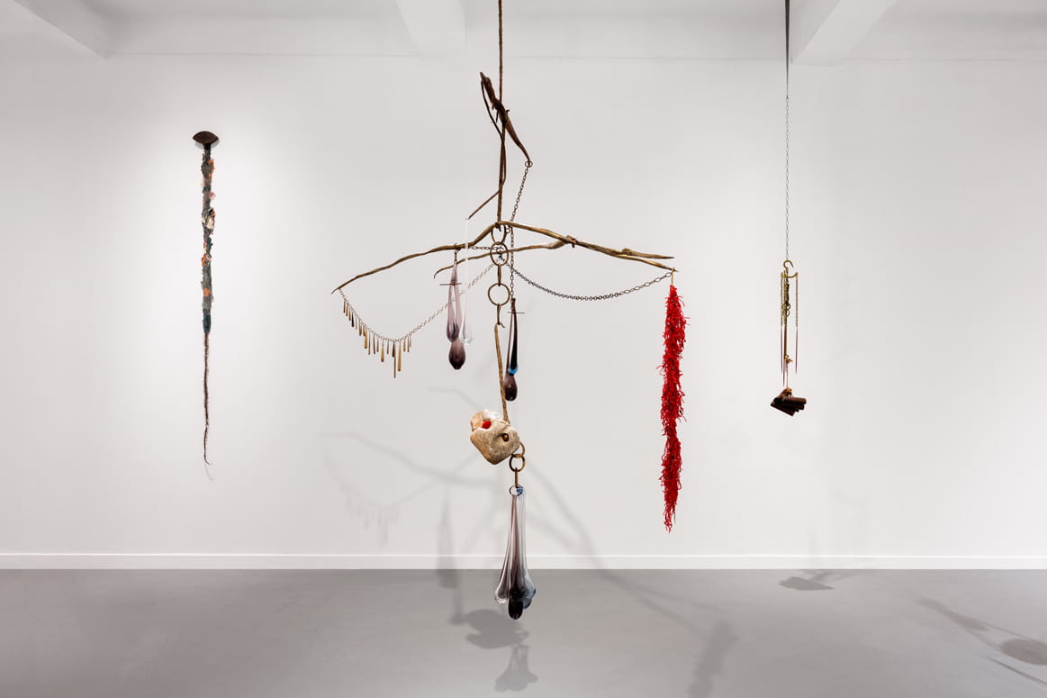 Knope and Flower, Moshe Roas, Haifa Museume, curator: Dr. Kobi Ben-Meir