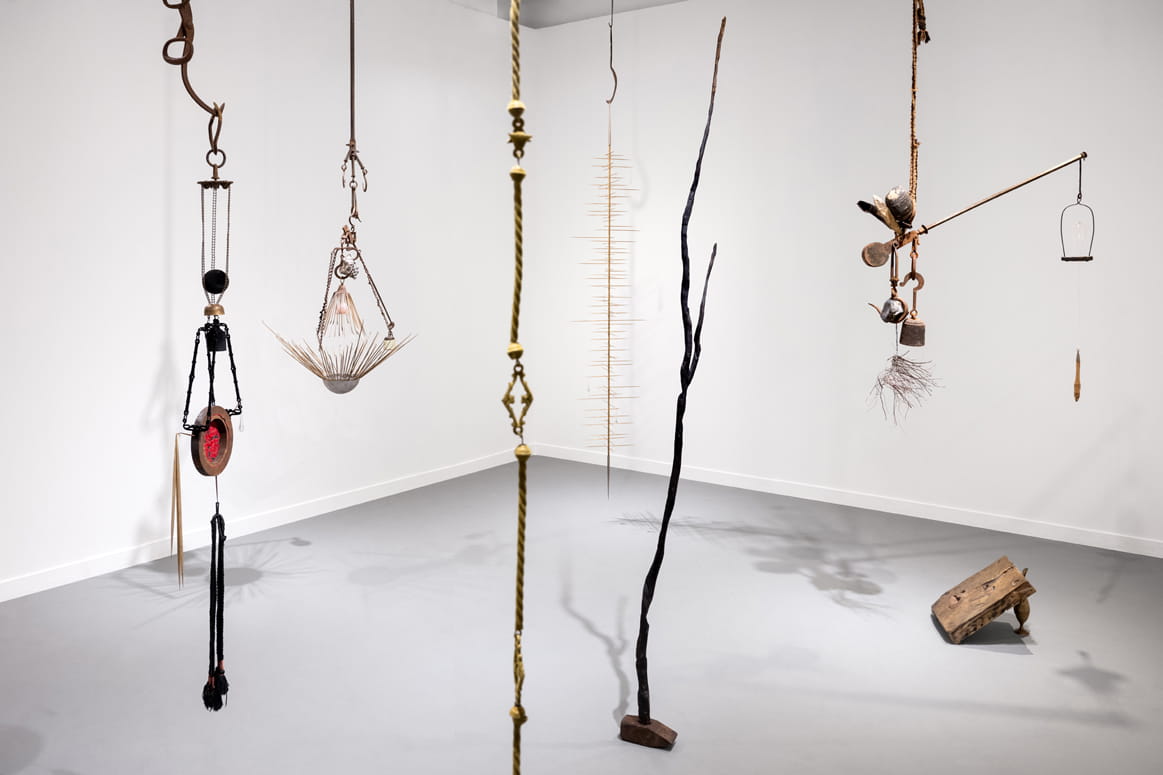 Knope and Flower, Moshe Roas, Haifa Museume, curator: Dr. Kobi Ben-Meir