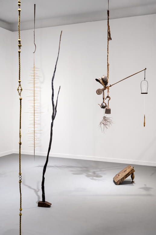 Knope and Flower, Moshe Roas, Haifa Museume, curator: Dr. Kobi Ben-Meir