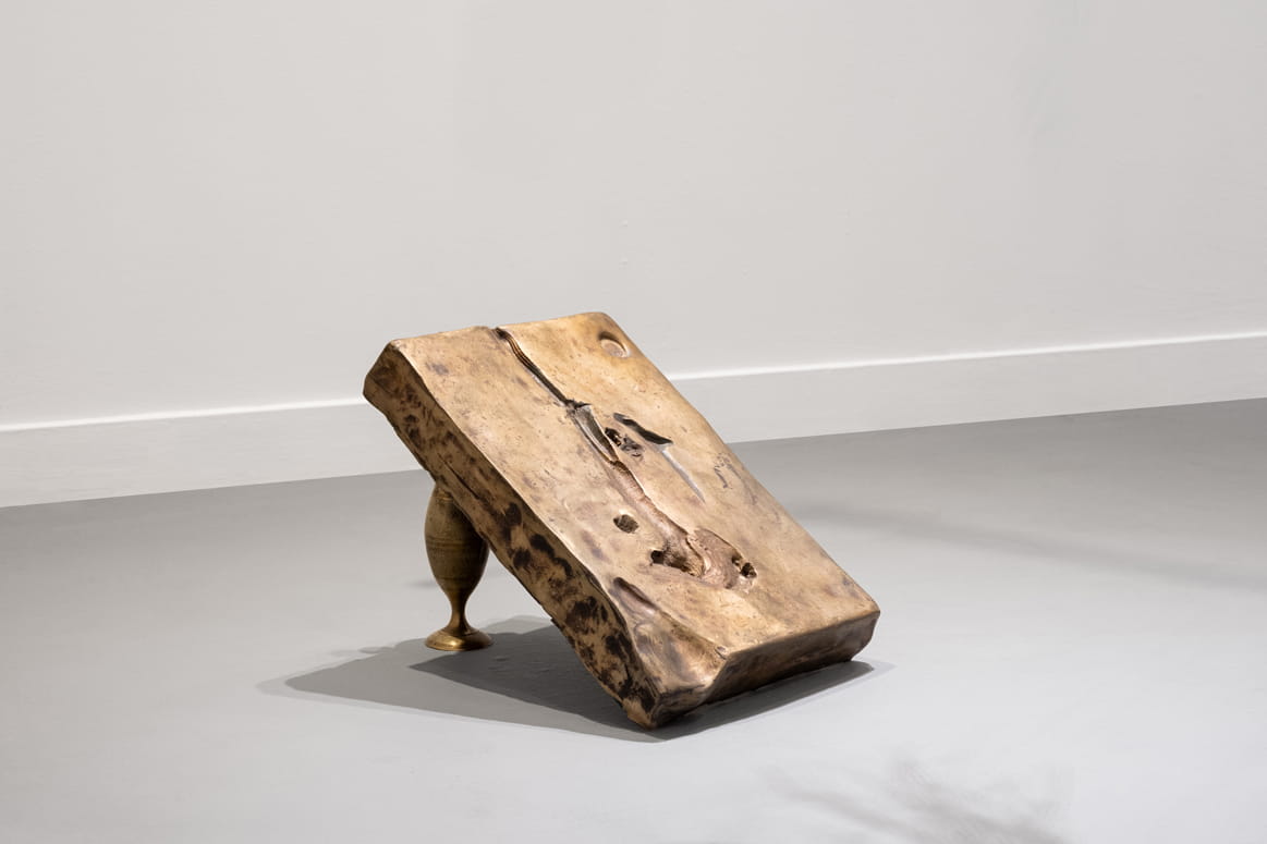 Knope and Flower, Moshe Roas, Haifa Museume, curator: Dr. Kobi Ben-Meir