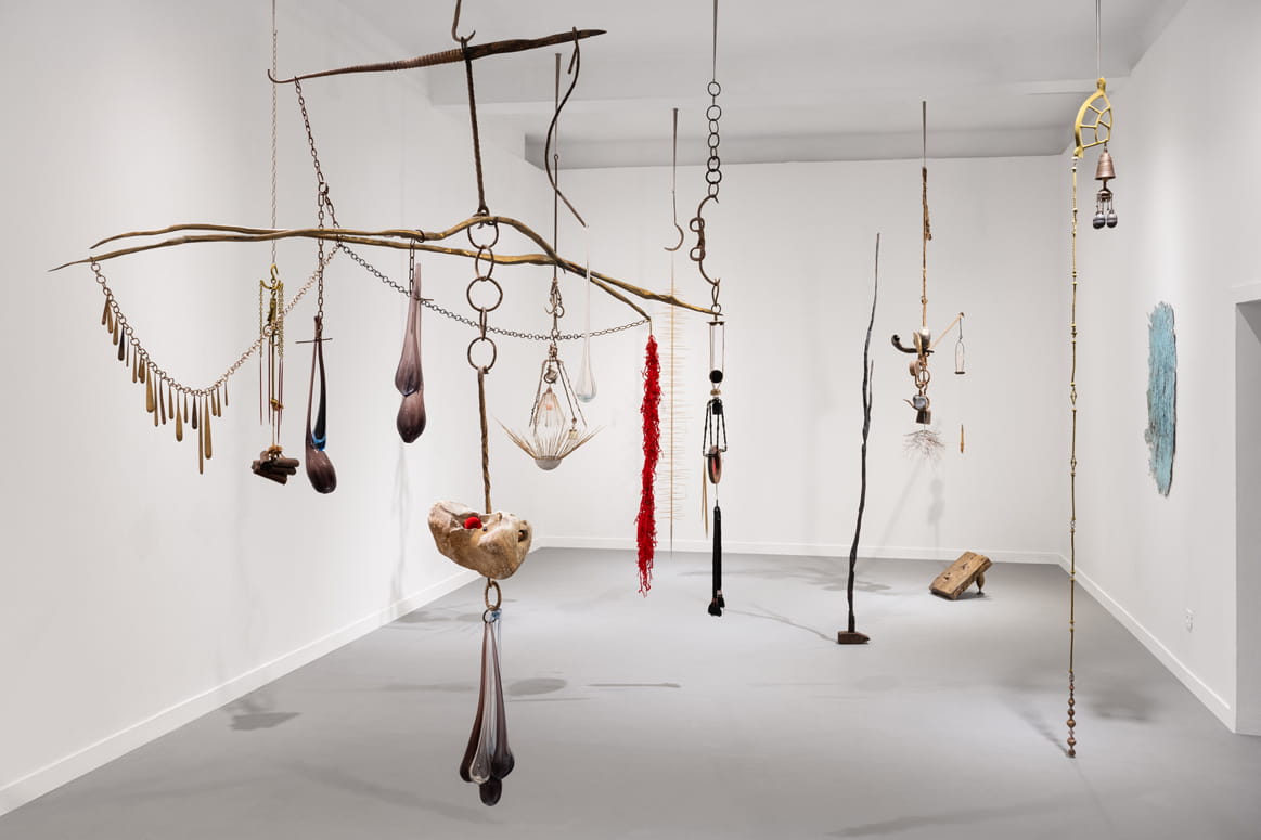 Knope and Flower, Moshe Roas, Haifa Museume, curator: Dr. Kobi Ben-Meir