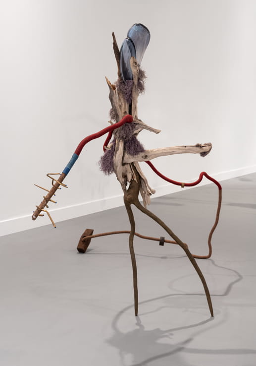 Knope and Flower, Moshe Roas, Haifa Museume, curator: Dr. Kobi Ben-Meir