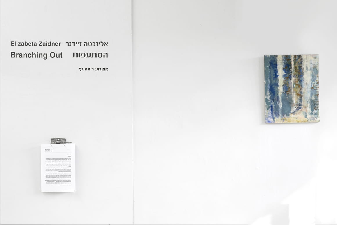 Branching Out, Elizabeta Zaidner, Gvul Contemporary Art Gallery, curator: Rita kats