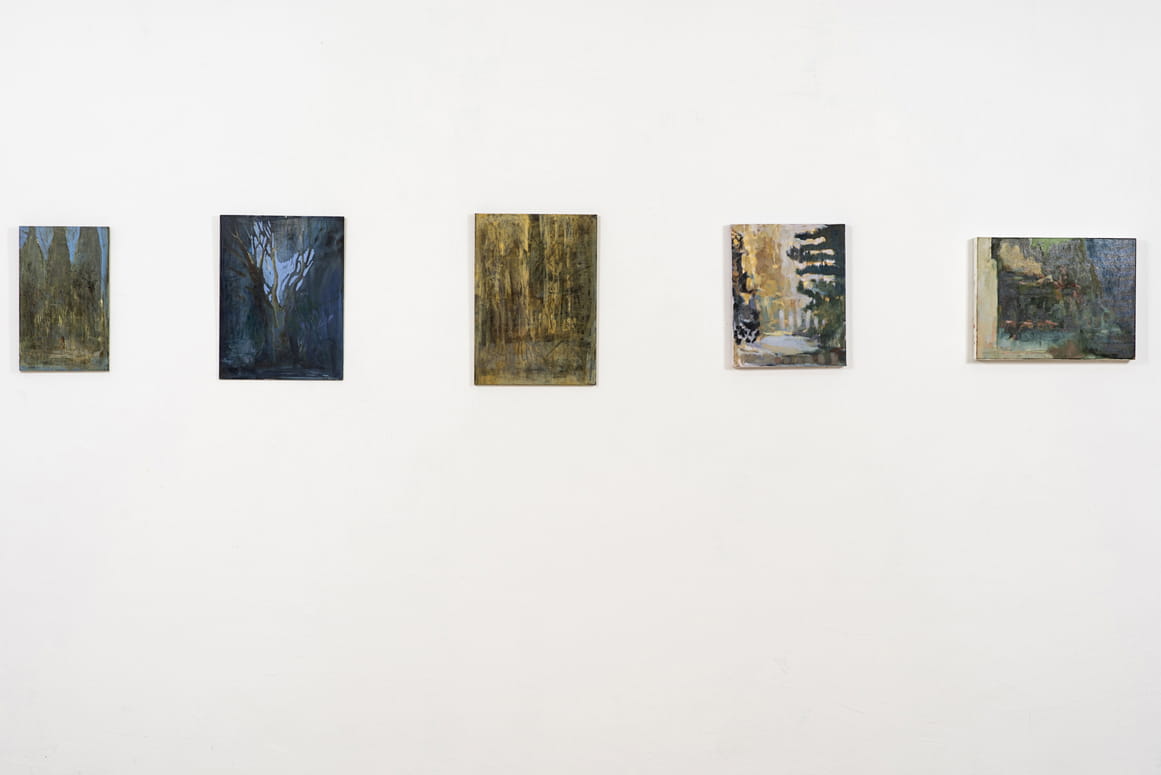 Branching Out, Elizabeta Zaidner, Gvul Contemporary Art Gallery, curator: Rita kats