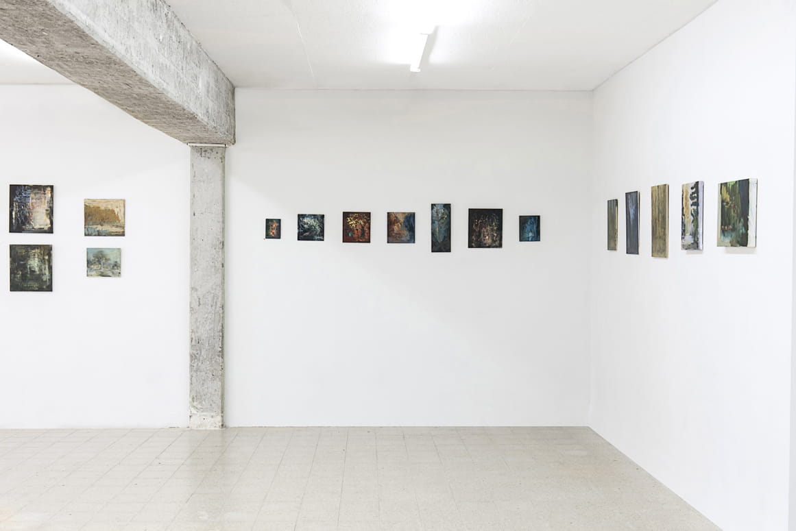 Branching Out, Elizabeta Zaidner, Gvul Contemporary Art Gallery, curator: Rita kats