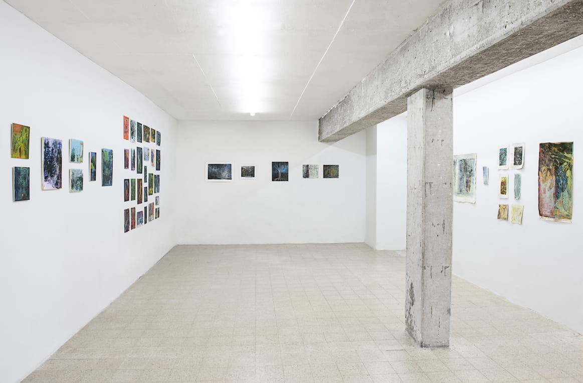 Branching Out, Elizabeta Zaidner, Gvul Contemporary Art Gallery, curator: Rita kats