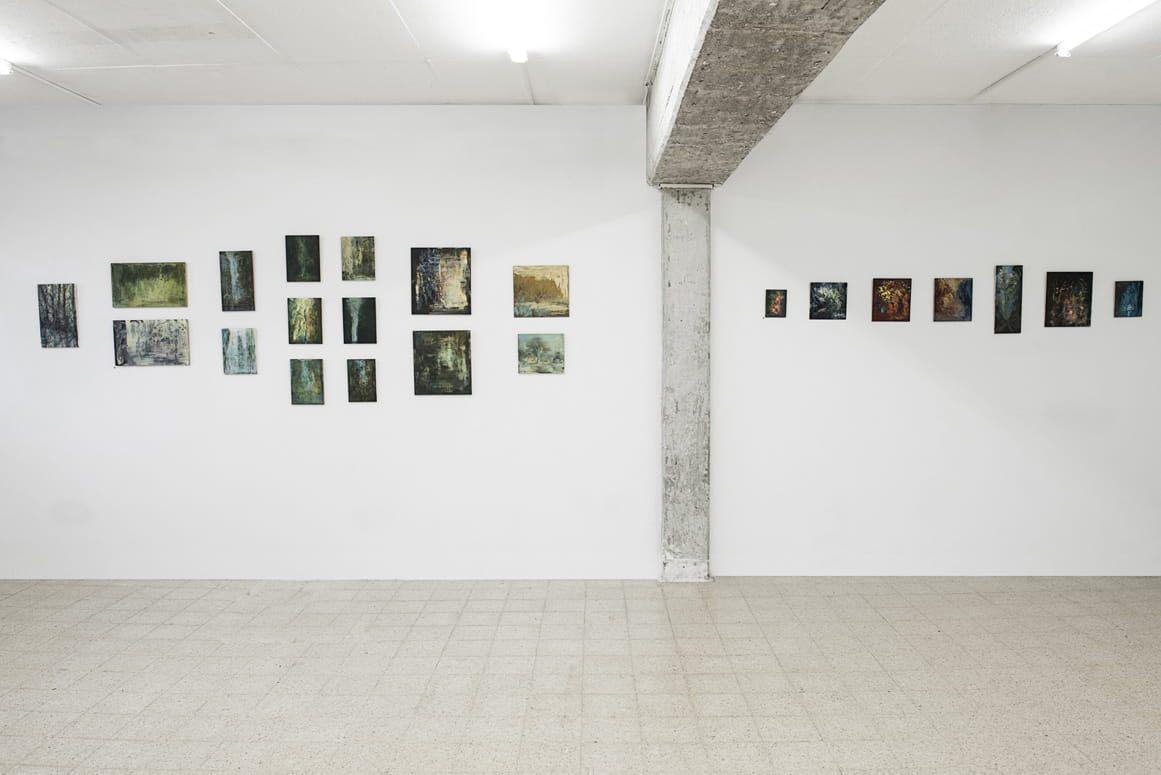 Branching Out, Elizabeta Zaidner, Gvul Contemporary Art Gallery, curator: Rita kats