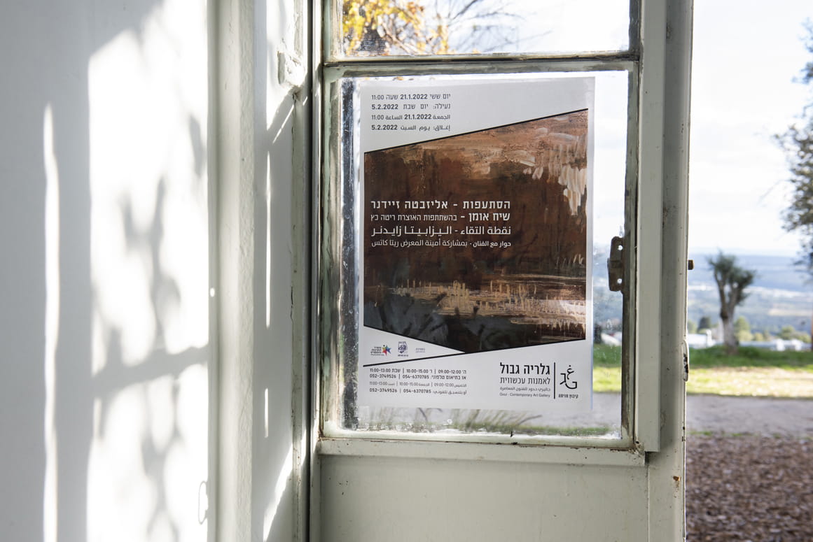 Branching Out, Elizabeta Zaidner, Gvul Contemporary Art Gallery, curator: Rita kats