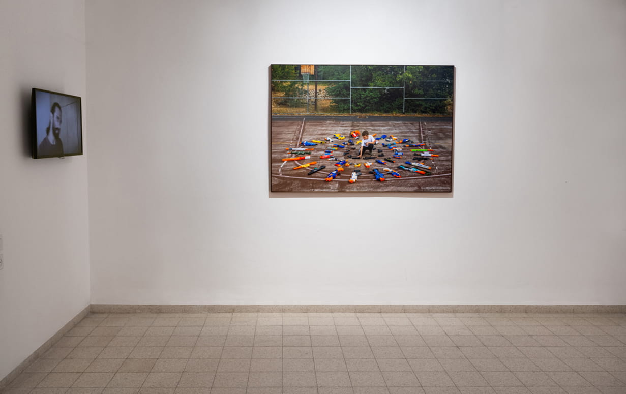 Protected Landscape, Gabriella Willenz, Bar-David Museum, curator: Avi Ifergan