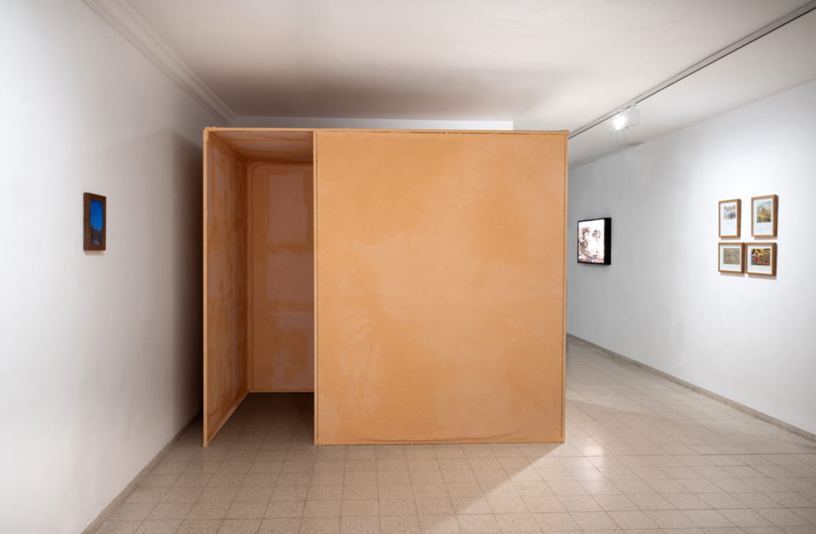 Protected Landscape, Gabriella Willenz, Bar-David Museum, curator: Avi Ifergan