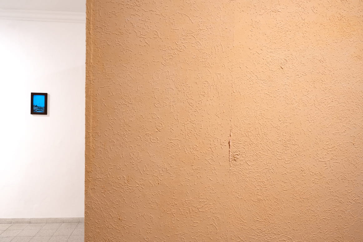 Protected Landscape, Gabriella Willenz, Bar-David Museum, curator: Avi Ifergan
