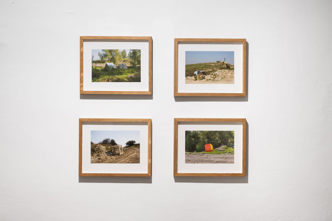 Protected Landscape, Gabriella Willenz, Bar-David Museum, curator: Avi Ifergan