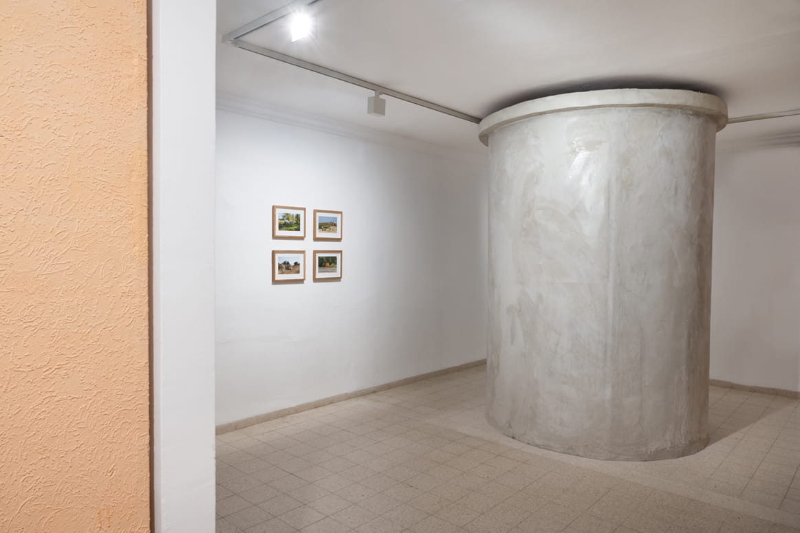 Protected Landscape, Gabriella Willenz, Bar-David Museum, curator: Avi Ifergan