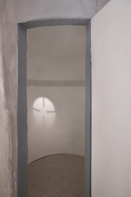 Protected Landscape, Gabriella Willenz, Bar-David Museum, curator: Avi Ifergan