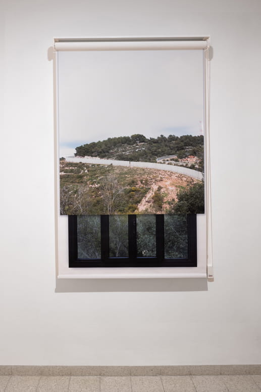 Protected Landscape, Gabriella Willenz, Bar-David Museum, curator: Avi Ifergan