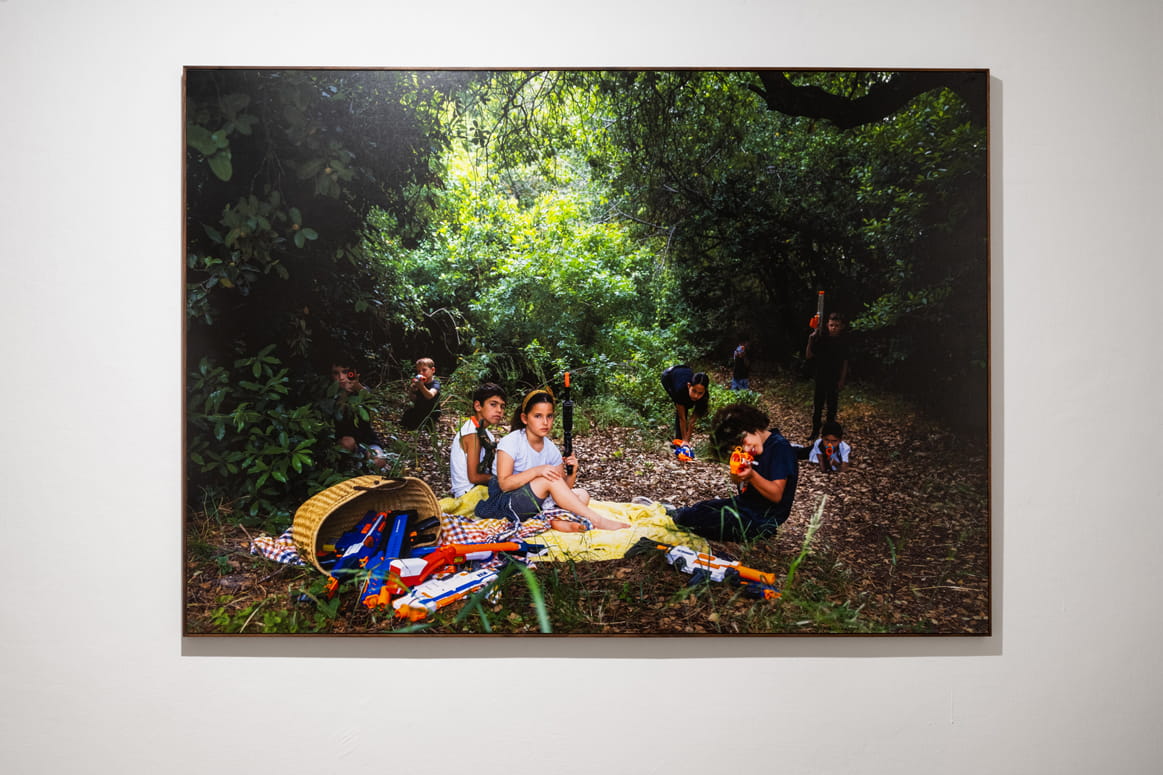 Protected Landscape, Gabriella Willenz, Bar-David Museum, curator: Avi Ifergan