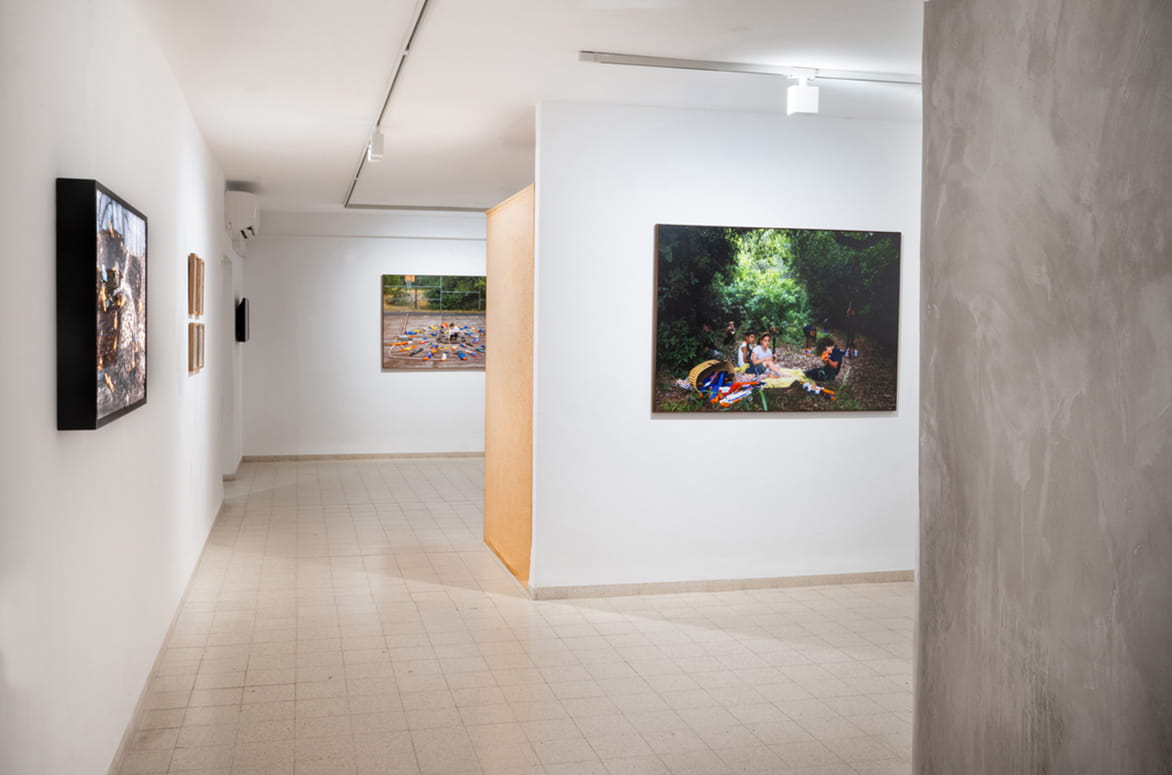 Protected Landscape, Gabriella Willenz, Bar-David Museum, curator: Avi Ifergan