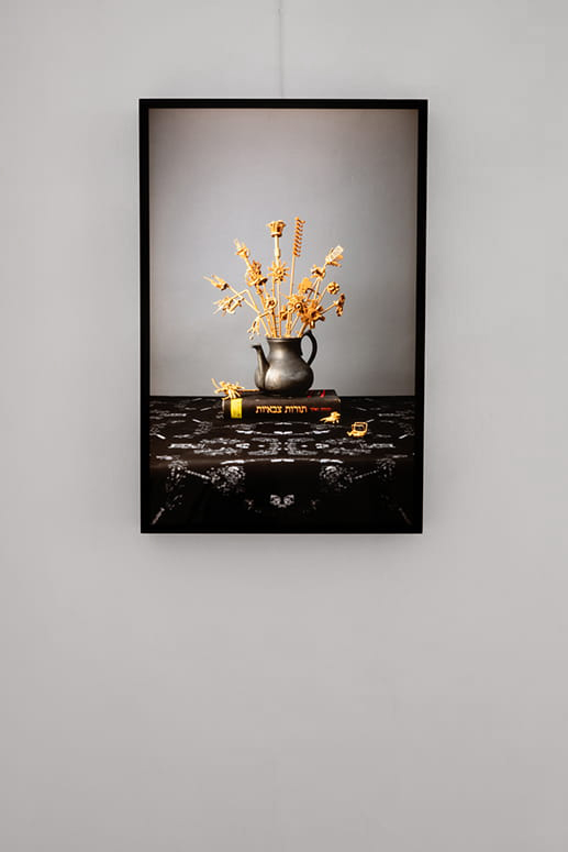 Protected Landscape, Gabriella Willenz, Bar-David Museum, curator: Avi Ifergan