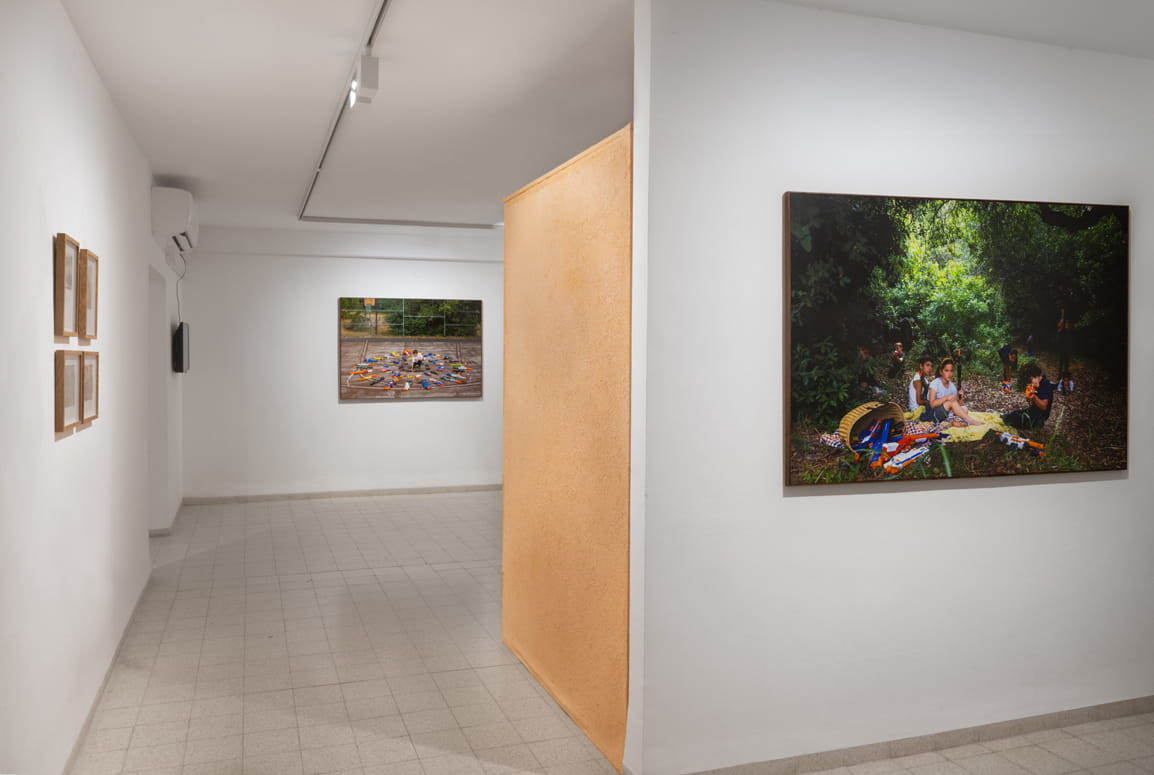 Protected Landscape, Gabriella Willenz, Bar-David Museum, curator: Avi Ifergan