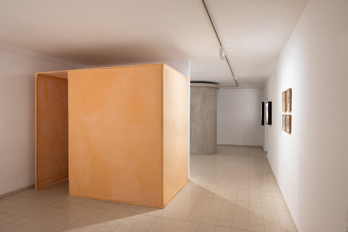 Protected Landscape, Gabriella Willenz, Bar-David Museum, curator: Avi Ifergan