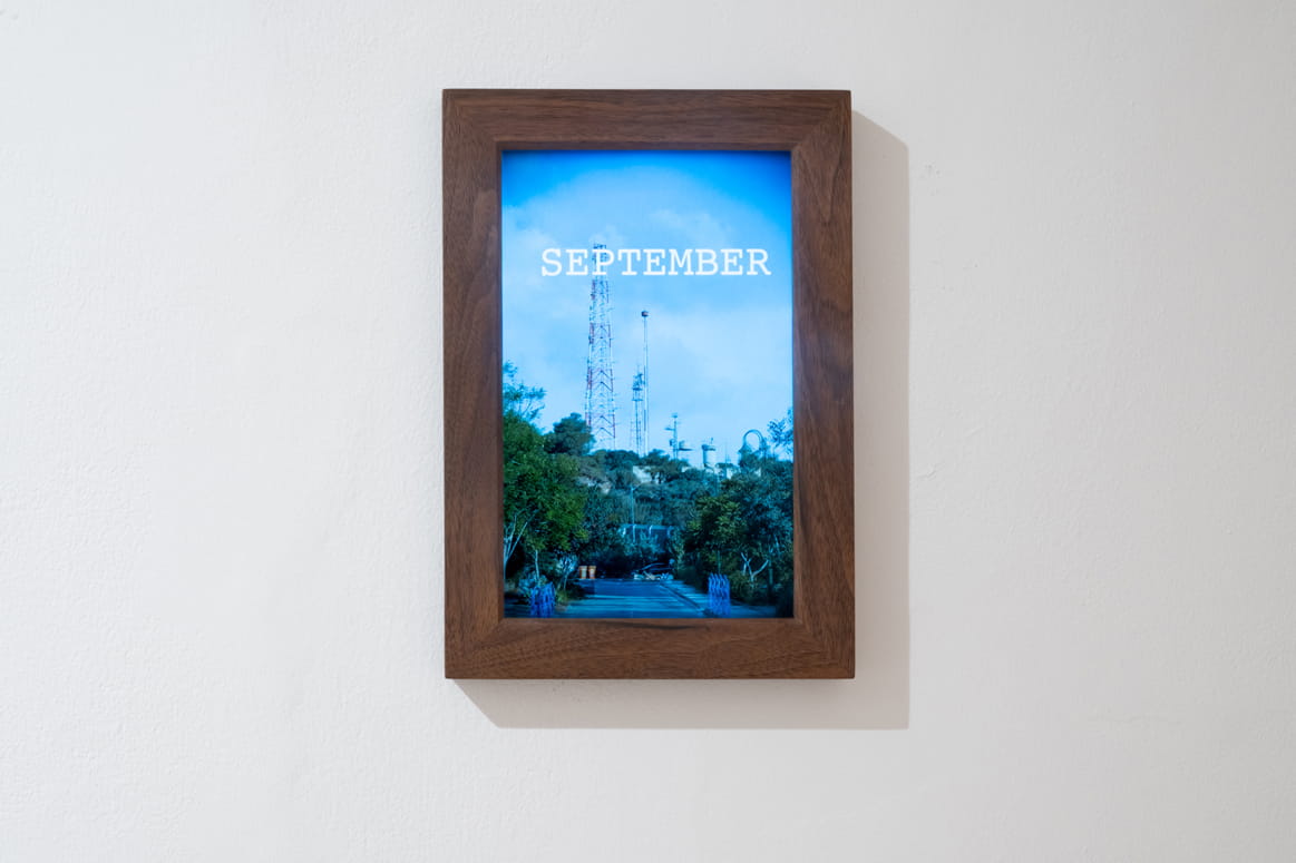 Protected Landscape, Gabriella Willenz, Bar-David Museum, curator: Avi Ifergan