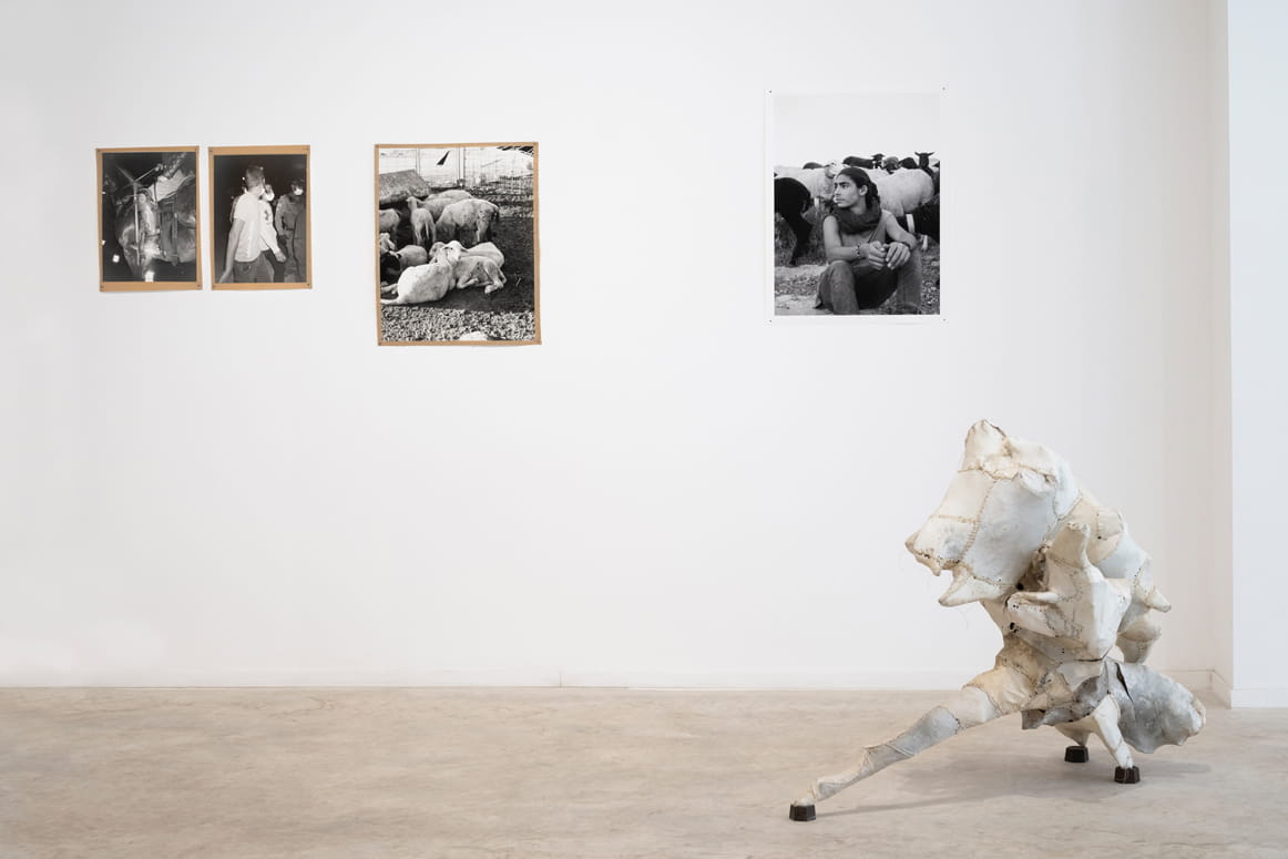 Springs, Moshe Roas & Anne Simin Shitrit, Bezalel Gallery for Contemporary Art, curator: Dor Guez