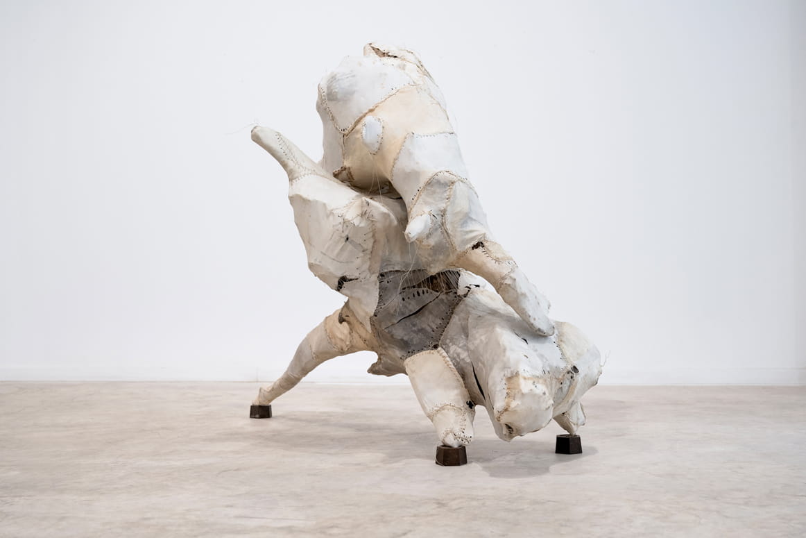 Springs, Moshe Roas & Anne Simin Shitrit, Bezalel Gallery for Contemporary Art, curator: Dor Guez