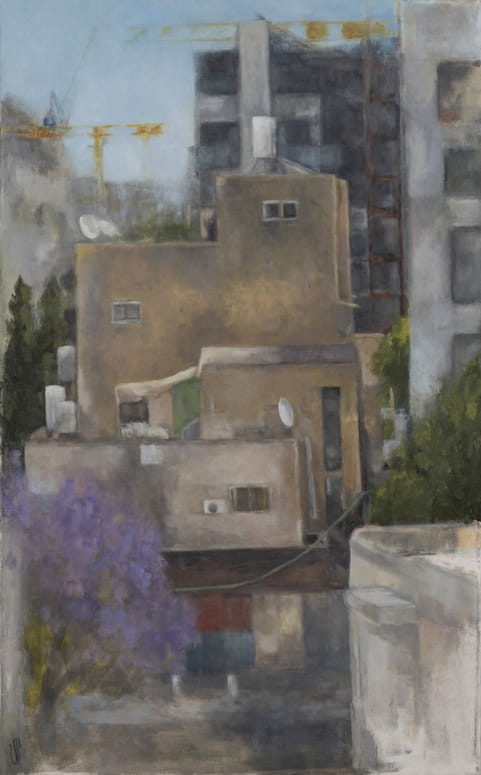 Yoni Zohar